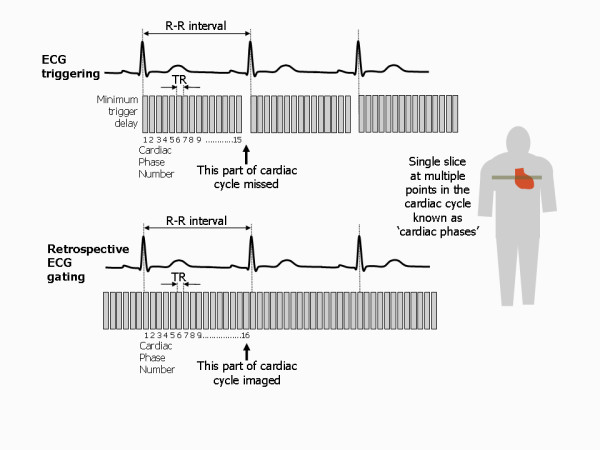 Figure 25