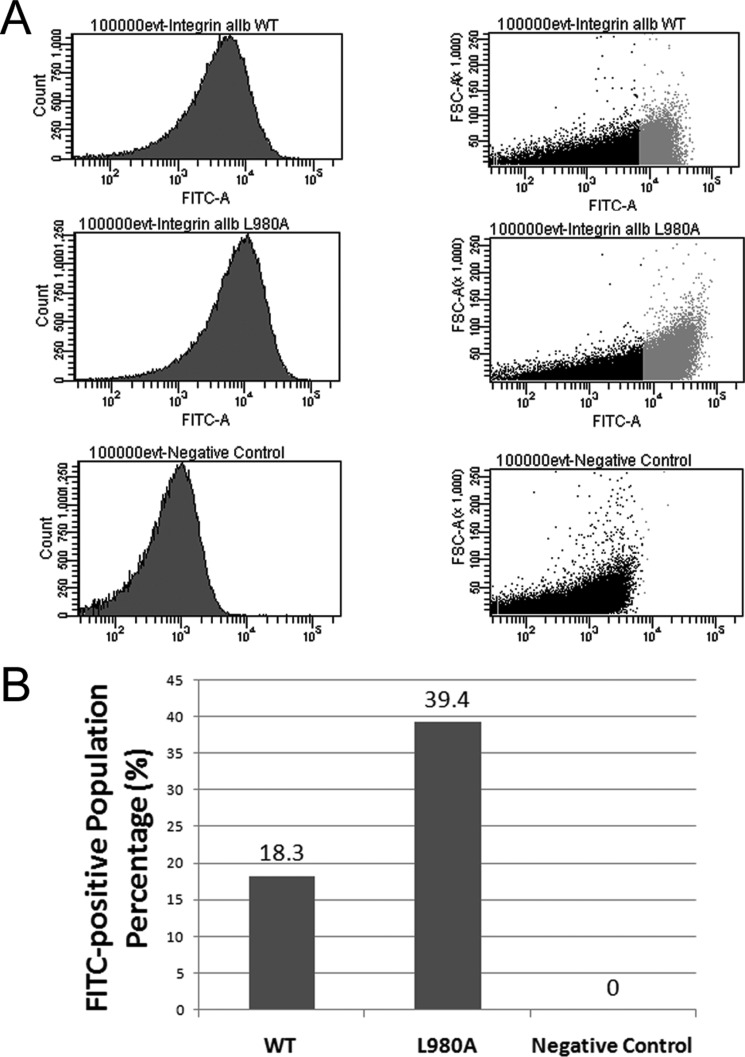 FIGURE 4.