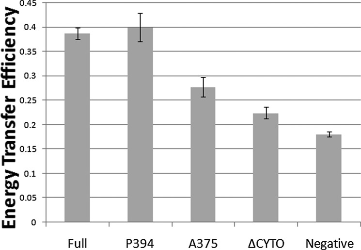 FIGURE 10.