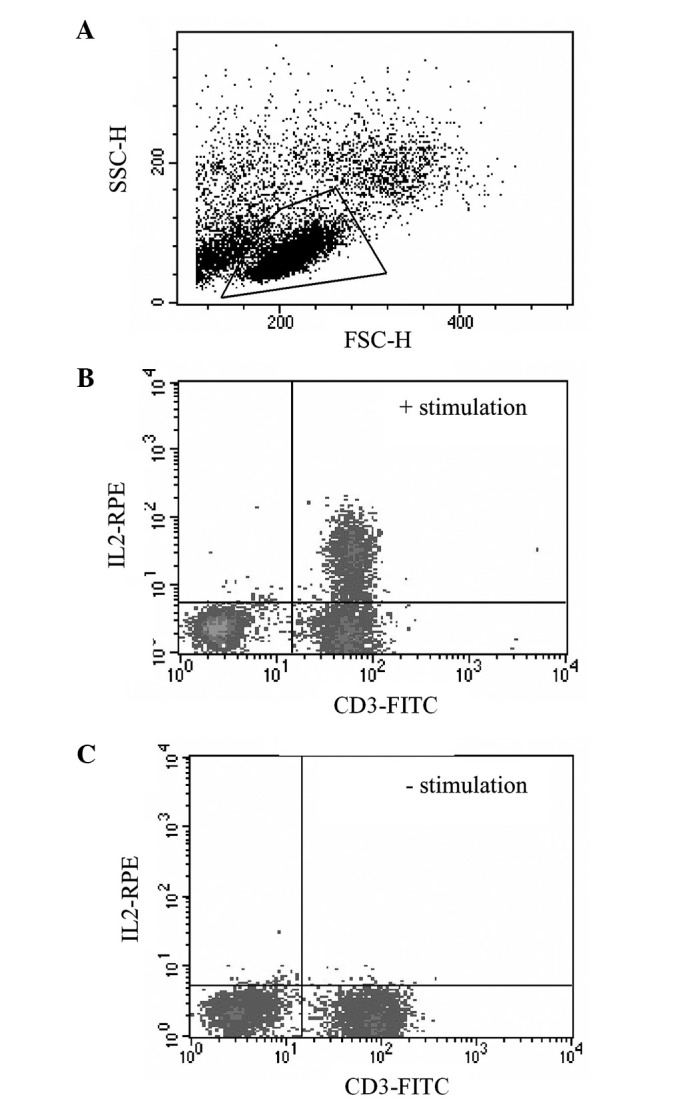 Figure 2.