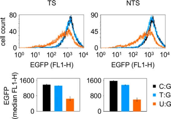 FIGURE 4.