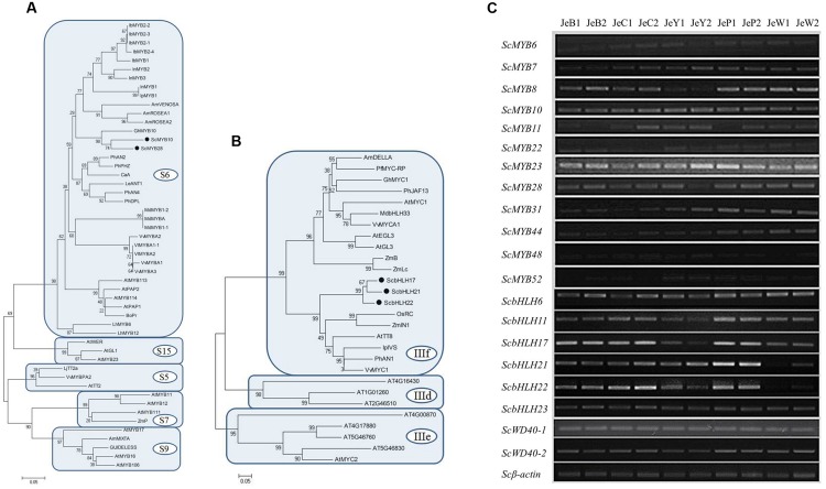 FIGURE 6