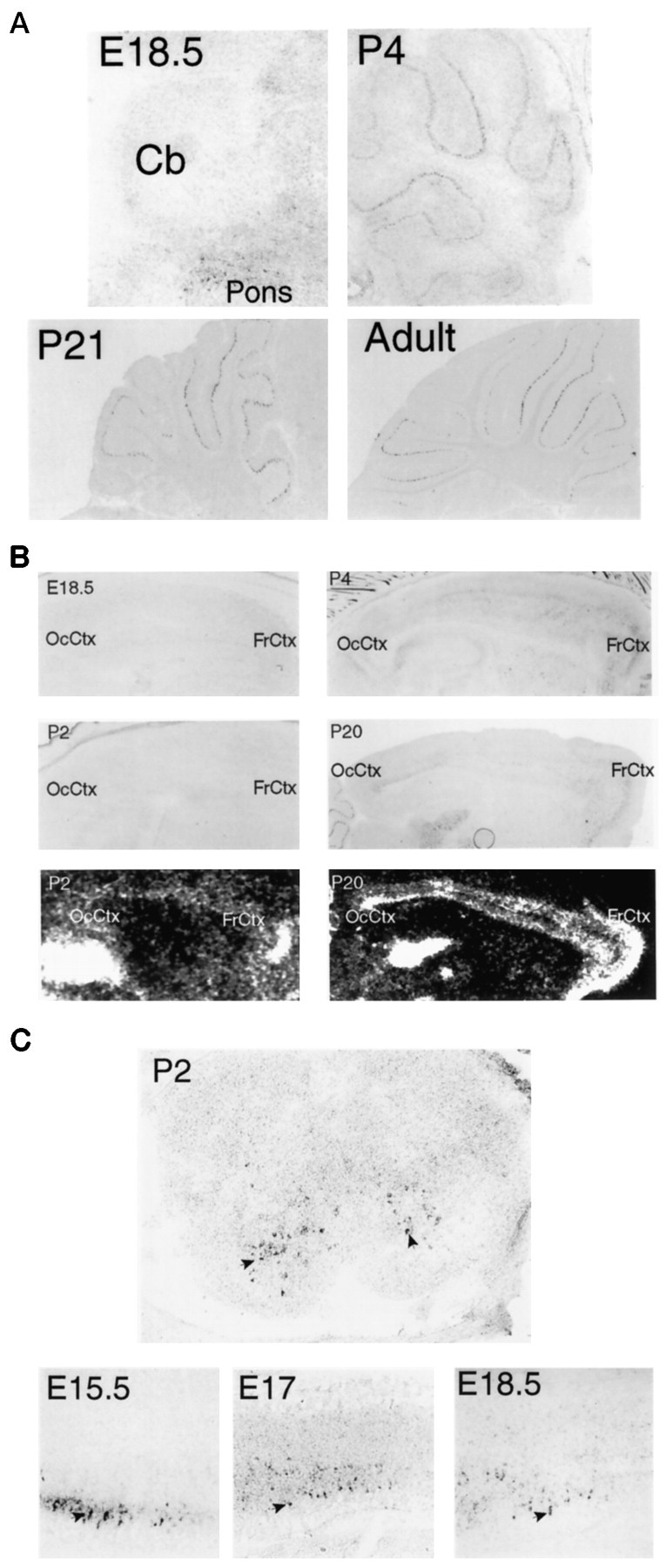 Fig. 9.