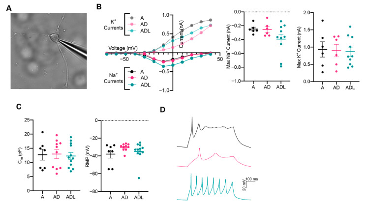 Figure 4