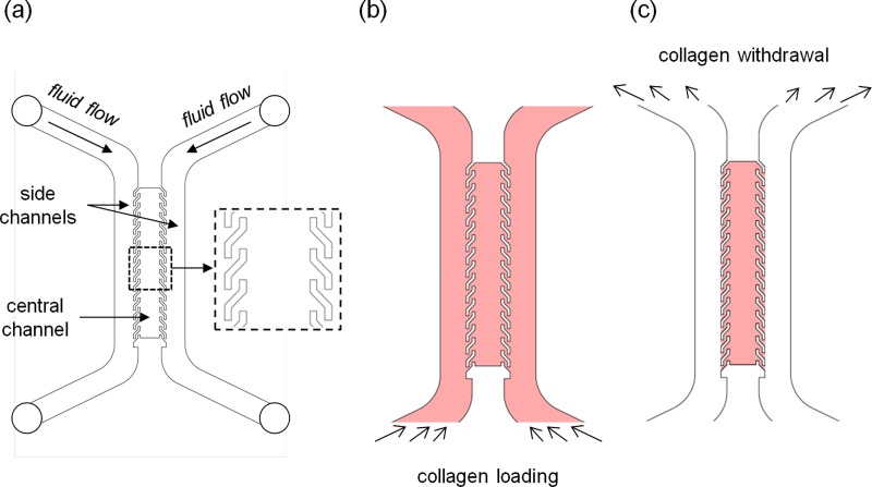 FIG. 1.