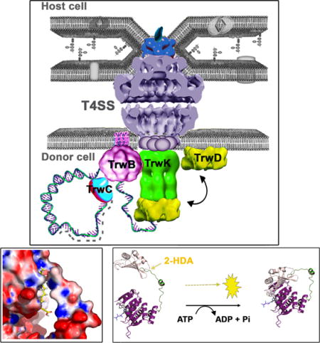 graphic file with name nihms790099u1.jpg