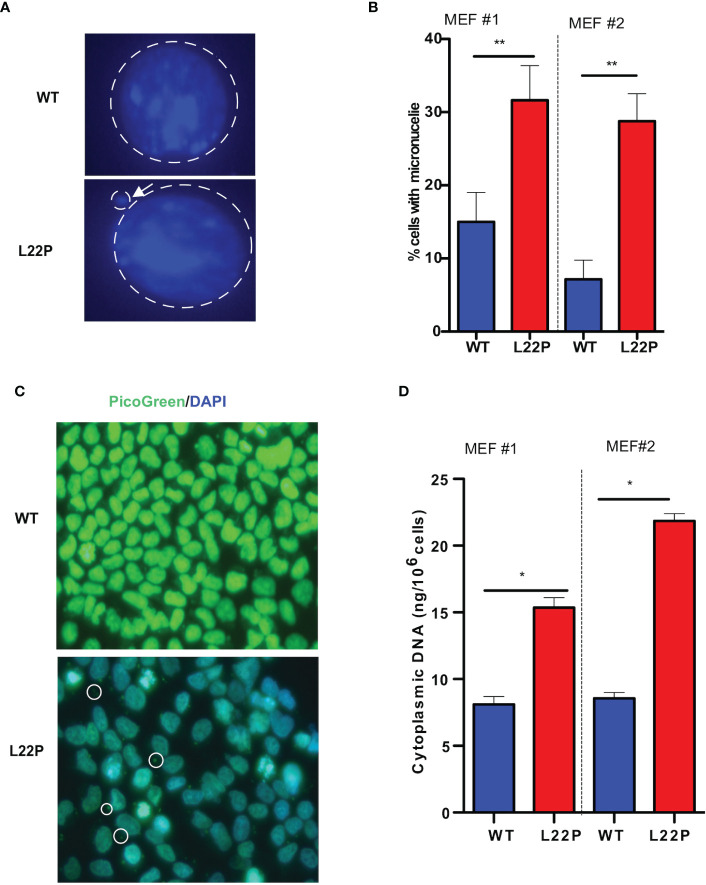 Figure 2