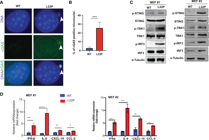 Figure 3