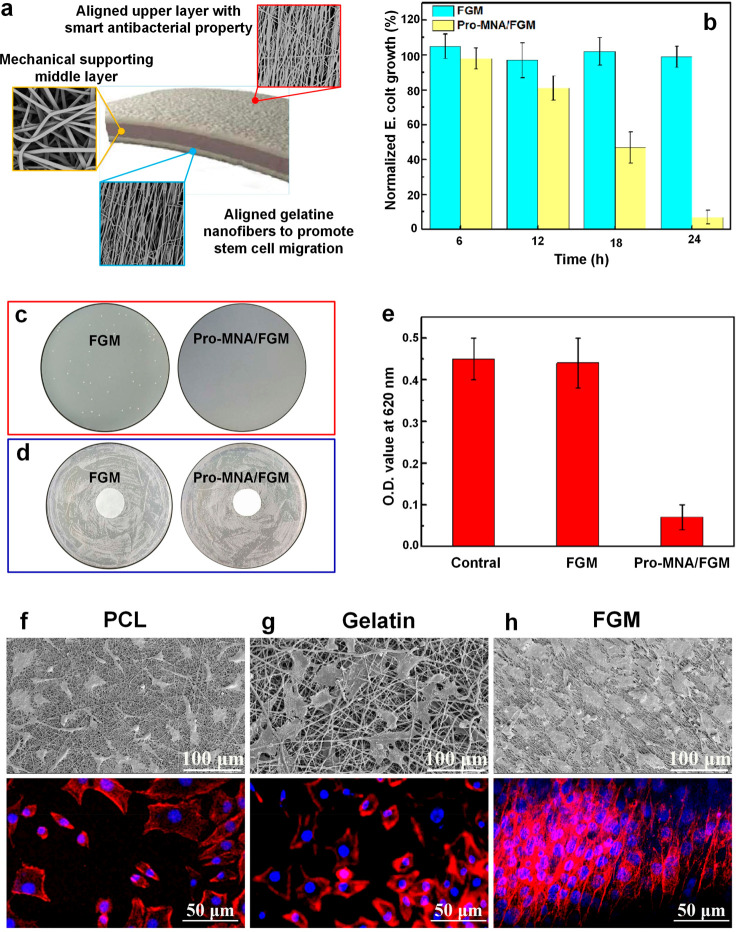 Resorbable Membranes for Guided Bone Regeneration: Critical Features ...