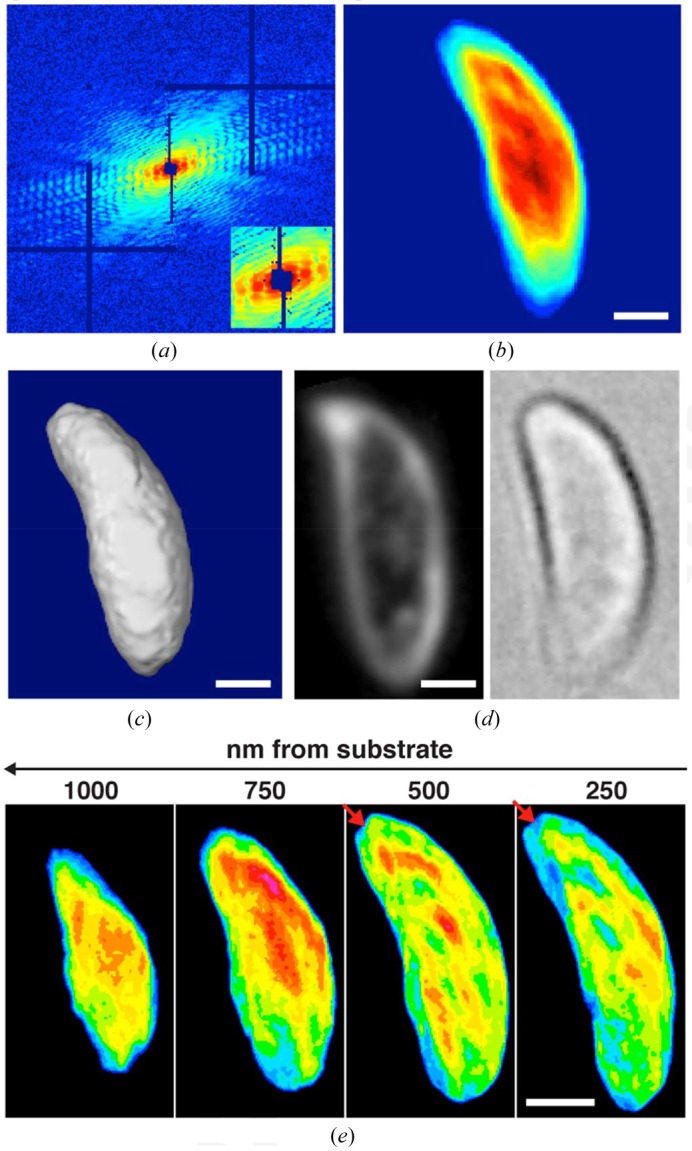 Figure 3