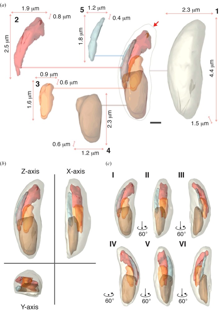 Figure 5