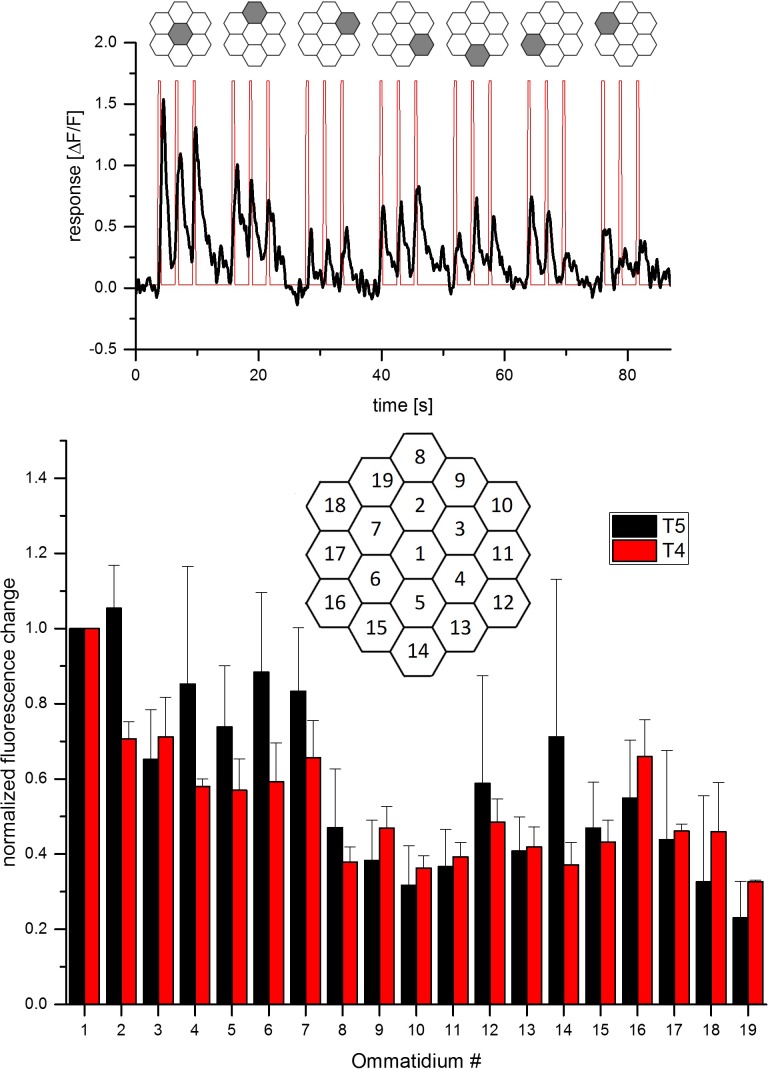 Figure 1—figure supplement 1.