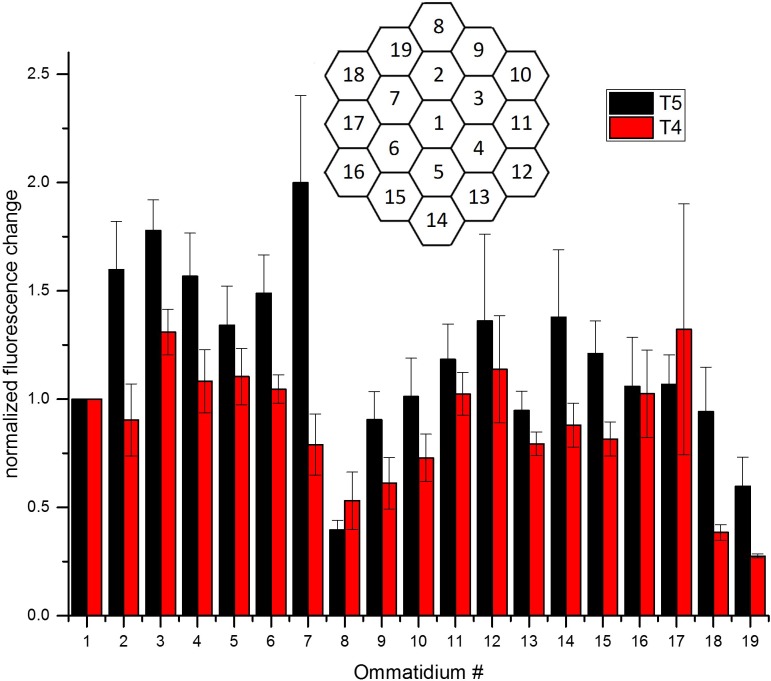 Figure 1—figure supplement 2.