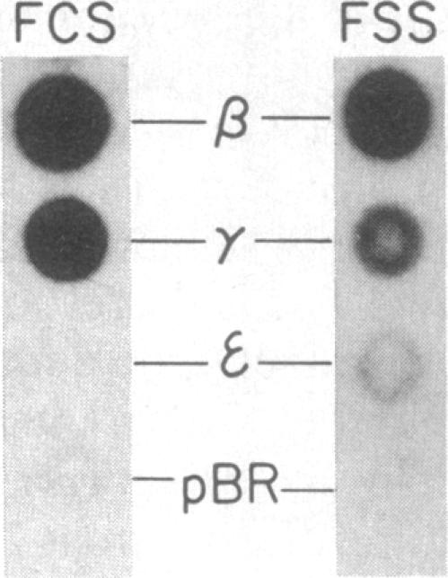 graphic file with name pnas00322-0234-a.jpg