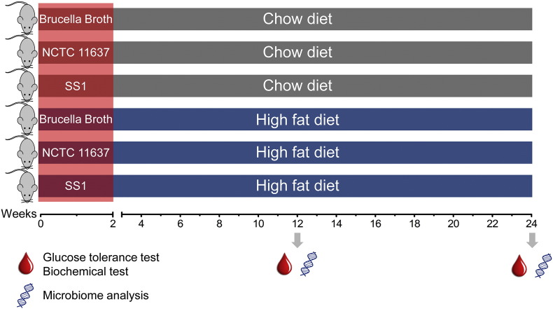 Supplement Fig. 1