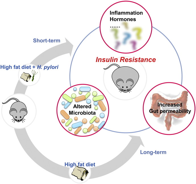 Supplement Fig. 4