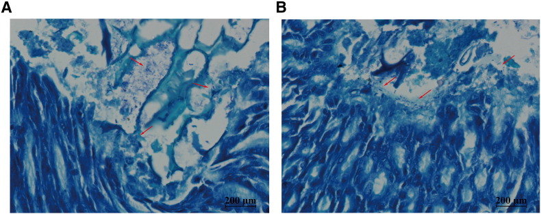 Supplement Fig. 2