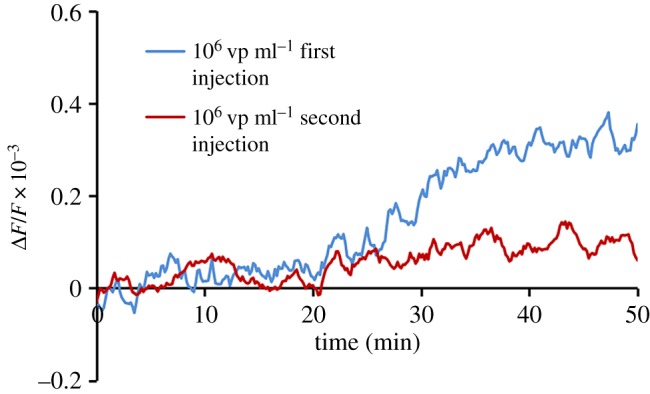 Figure 11.