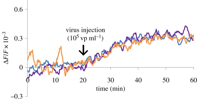 Figure 9.