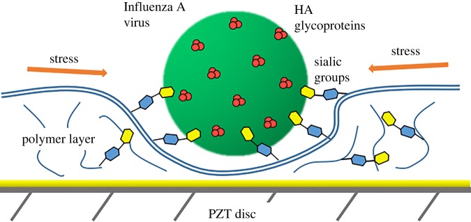 Figure 6.