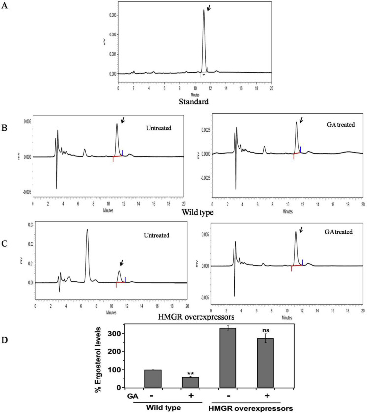 Fig. 4