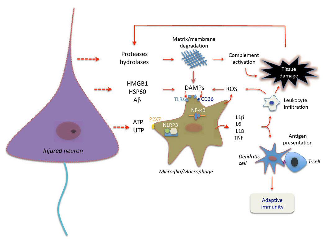 Figure 2