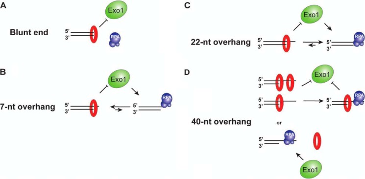 FIGURE 10.