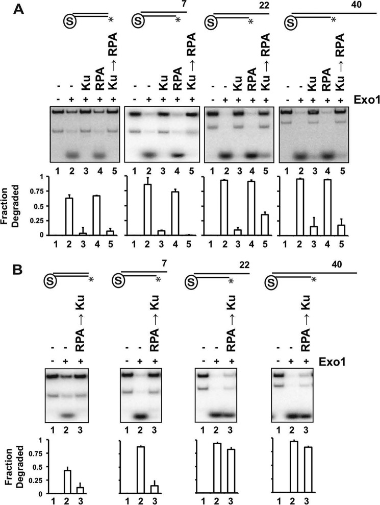 FIGURE 9.