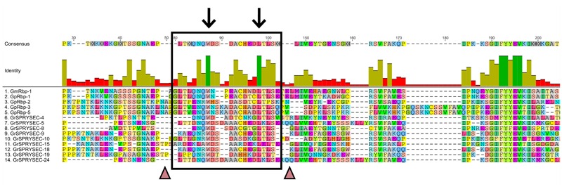 FIGURE 3