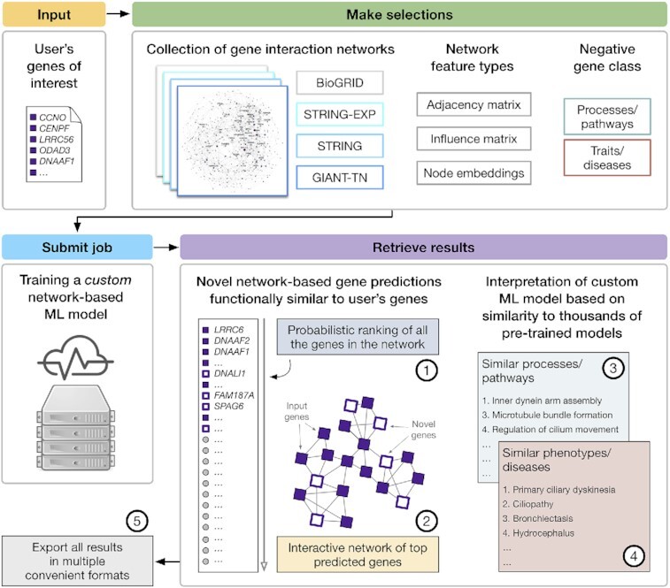 Graphical Abstract