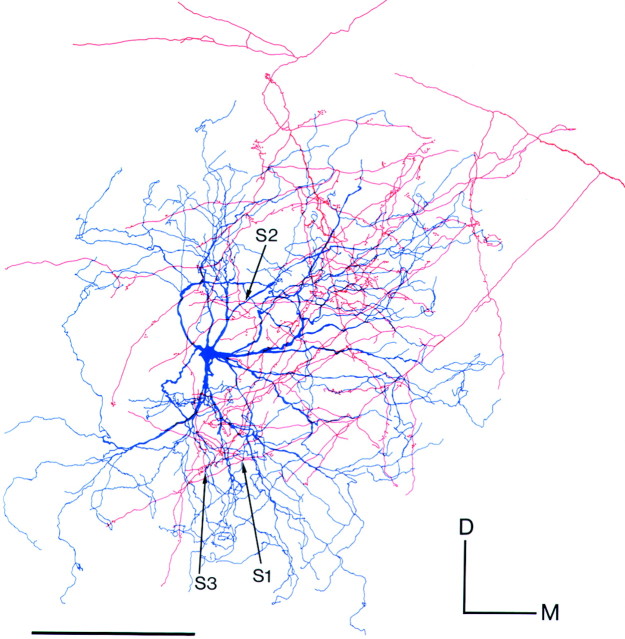 Fig. 3.