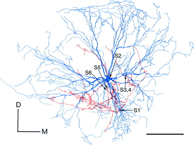 Fig. 5.