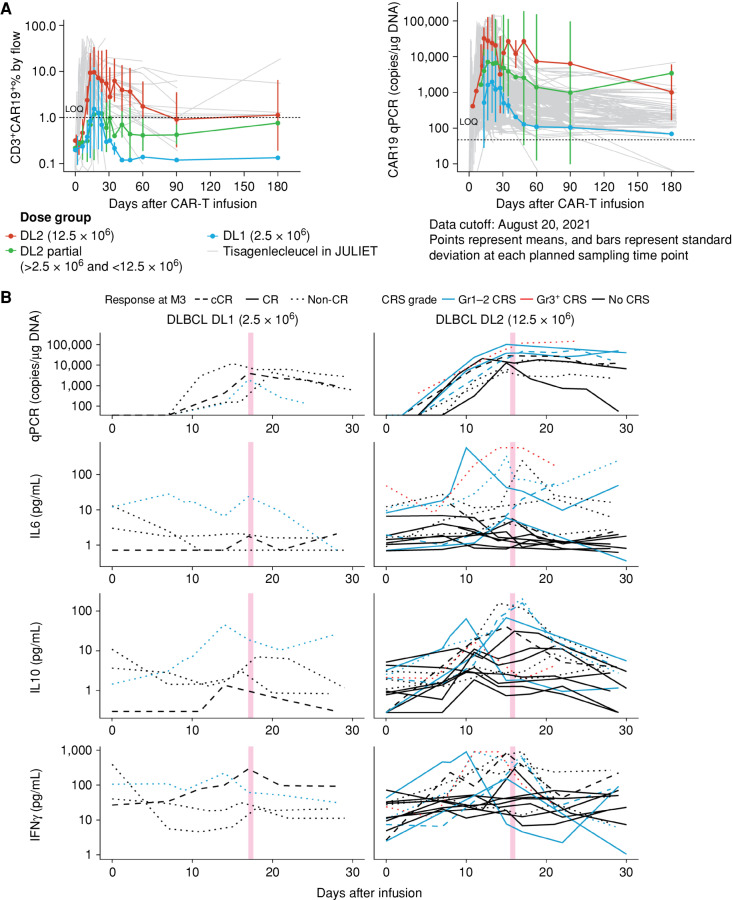 Figure 4. Cellular kinetics of YTB323 and cytokine profiles. A, Cellular kinetics profile of YTB323 assessed by flow cytometry (left) and qPCR (right) up to 90 days overlaid with tisagenlecleucel data (JULIET) in patients with r/r DLBCL. Left: CAR expression by flow cytometry, as a percentage of CD3+CAR19+ cells in CD3+ cells, after YTB323 infusion in patients who received full DL1 (2.5 × 106 cells) are presented in blue, below target DL2 (>2.5 × 106 and <12.5 × 106 cells) in green, and full DL2 (12.5 × 106 cells) in red; CAR expression by flow cytometry after tisagenlecleucel infusion (0.1–6.0 × 106 cells; median, 3.0 × 106 cells) is presented in gray. Right: CAR transgene levels by qPCR, as copies/μg DNA, after YTB323 infusion in patients who received full DL1, are presented in blue, partial DL2 in green, and full DL2 in red; CAR transgene levels by qPCR after tisagenlecleucel infusion are presented in gray. B, Cytokine profiles following YTB323 infusion. IL6, IL10, and IFNγ were measured by mean square displacement analysis up to 30 days for patients with cCR (long dashed line), CR (solid line), and non-CR (short dashed line), and with no CRS (black), grade (Gr) 1–2 CRS (blue), and Gr >3 CRS (red). Pink bar indicates the median time of peak expansion measured by qPCR as in A. cCR, continuous CR indicates patients in CR before infusion of YTB323; CD, cluster of differentiation; DL, dose level; IFNγ, interferon gamma; IL, interleukin; LOQ, limit of quantification; qPCR, quantitative polymerase chain reaction.