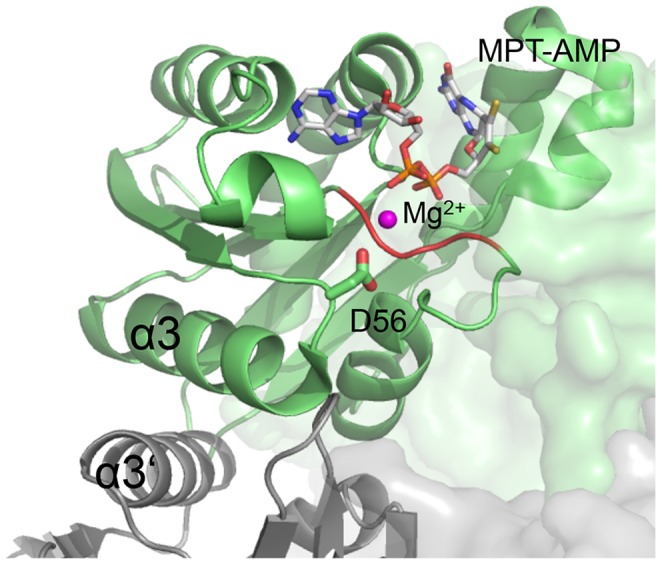 Figure 7