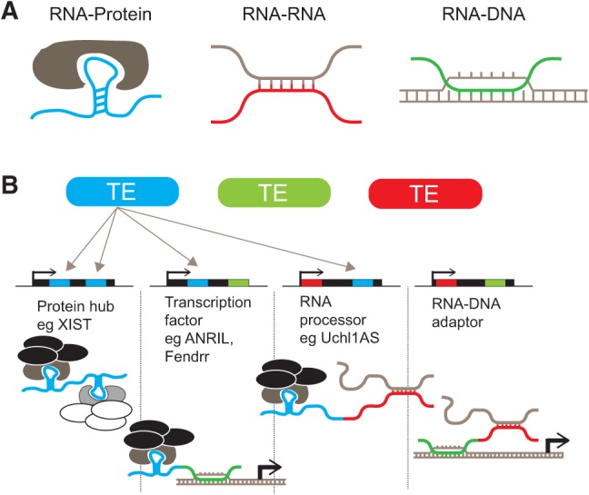 FIGURE 3.