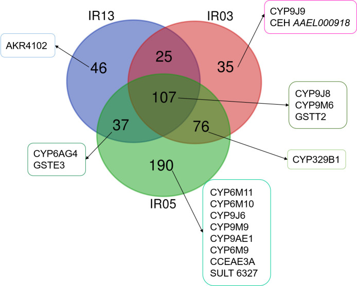 Fig 5