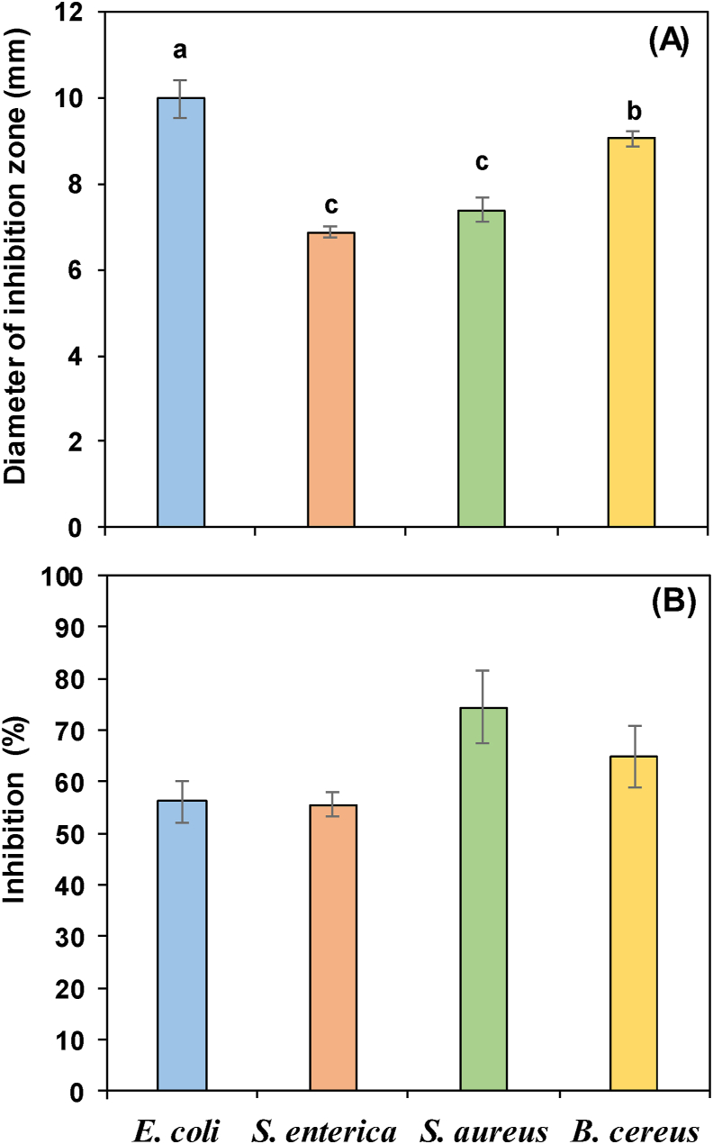 Figure 3