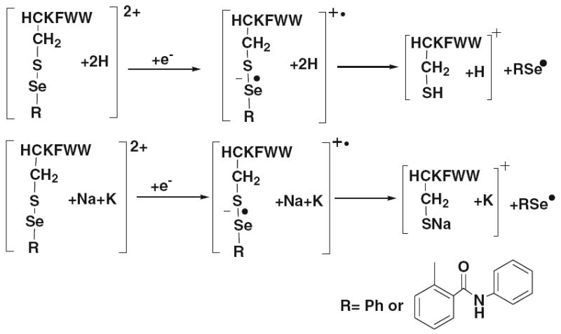 Scheme 3