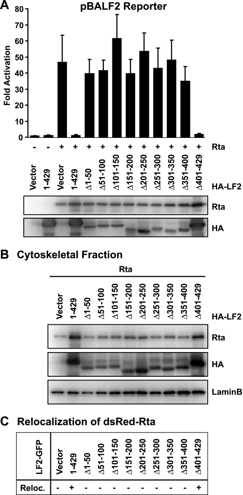 FIG. 7.