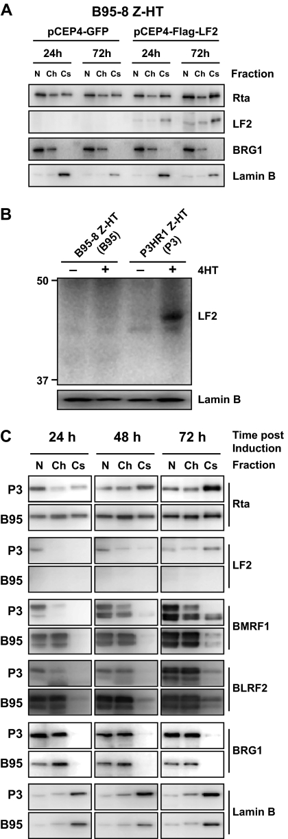 FIG. 8.