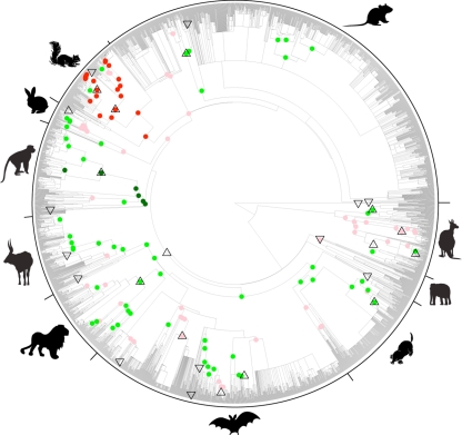 Figure 2.