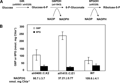 Fig 2