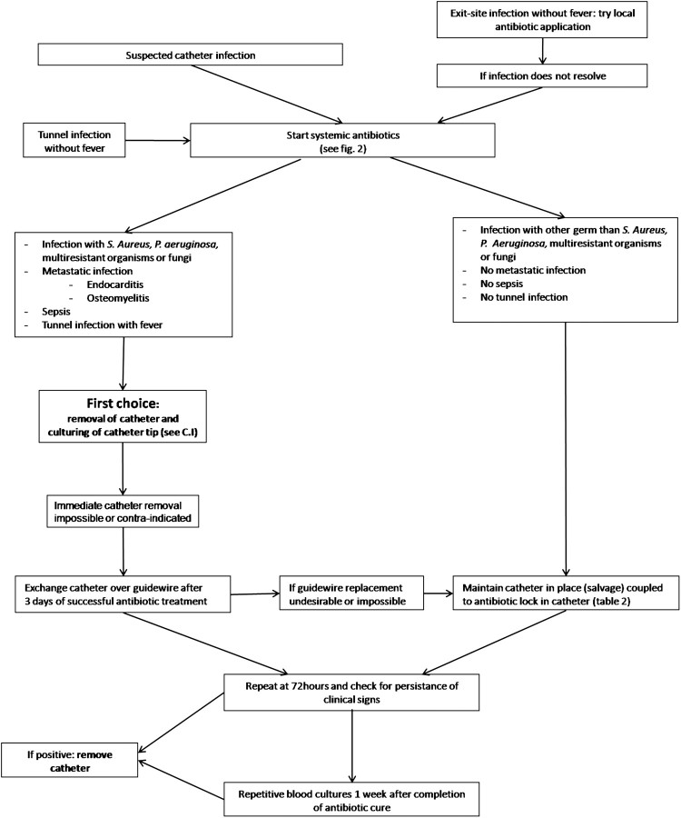 Diagnosis, prevention and treatment of haemodialysis catheter-related ...