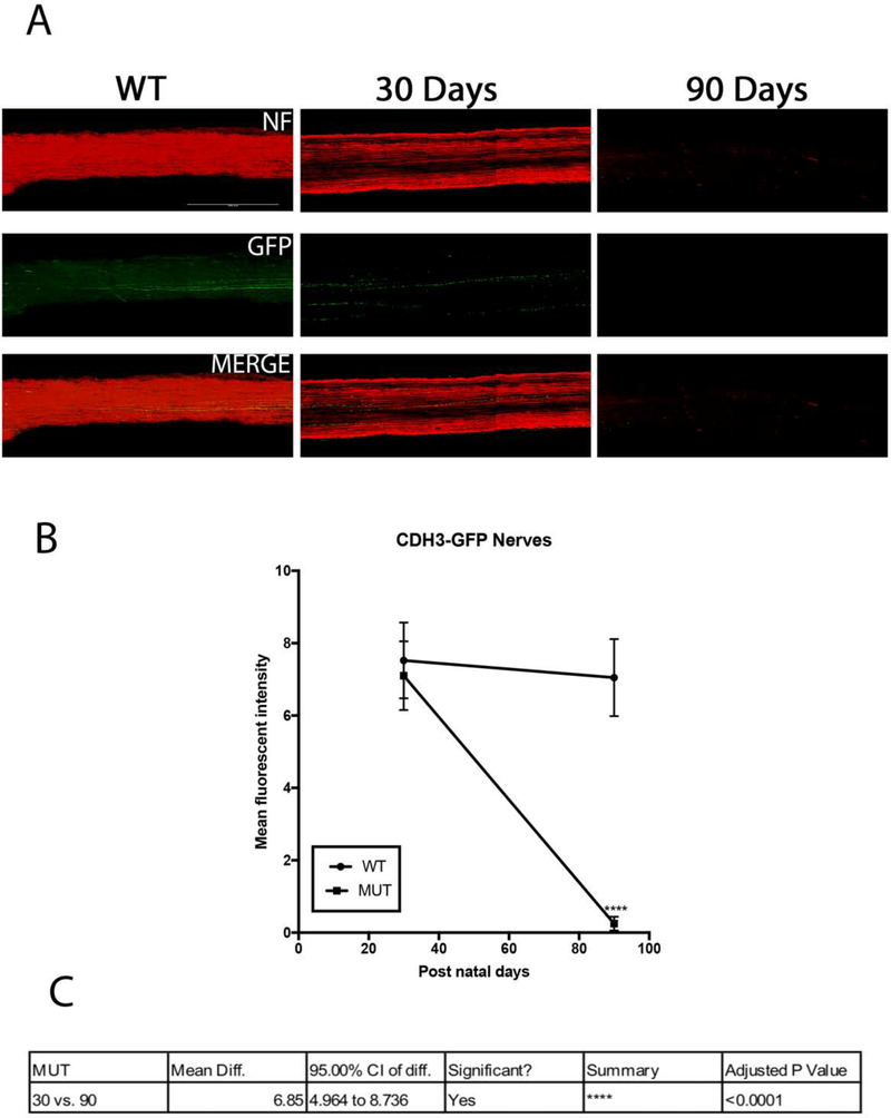 Figure 15: