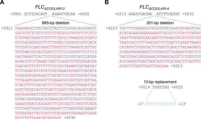 Figure 5—figure supplement 1.