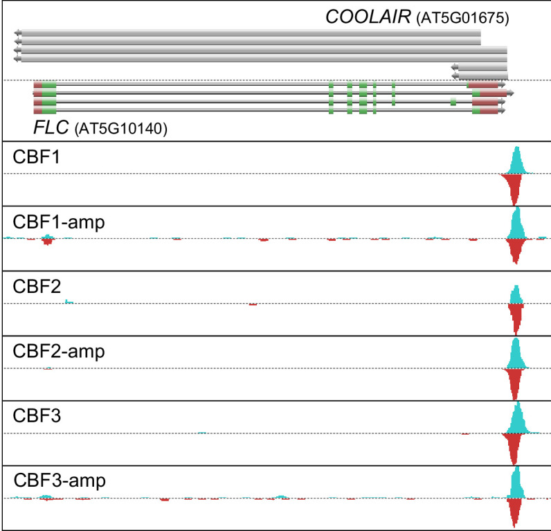 Figure 1—figure supplement 1.