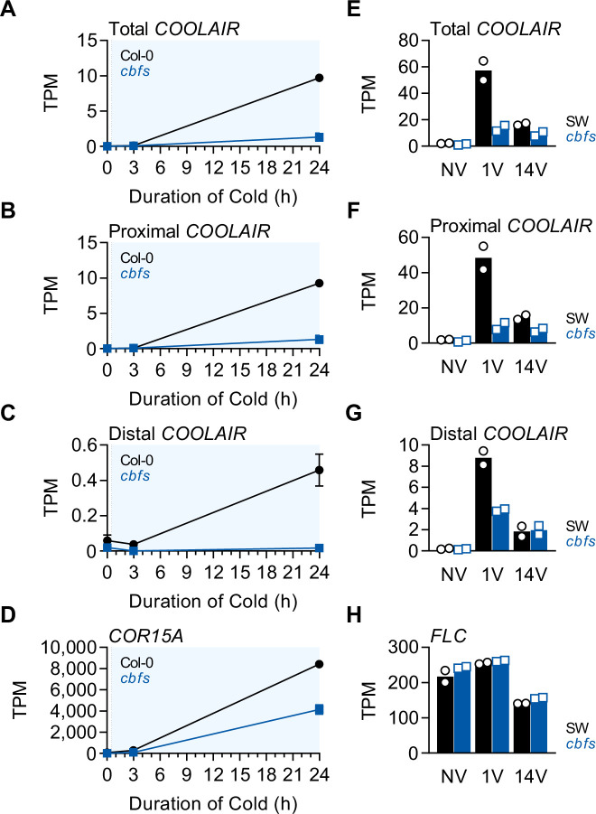 Figure 4—figure supplement 2.