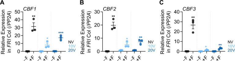 Figure 4—figure supplement 3.