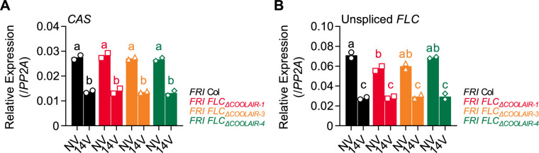 Figure 5—figure supplement 2.