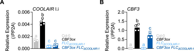 Figure 5—figure supplement 3.